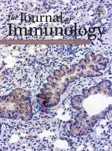 The Journal of Immunology