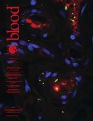 Blood