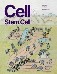 Cell - Stem Cell