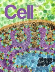 Cell