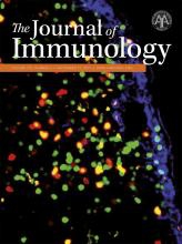 The Journal of Immunology