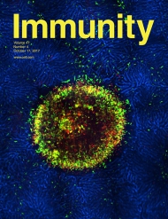 Cell - Immunity