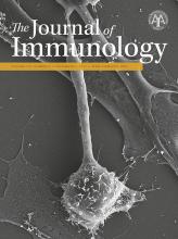 The Journal of Immunology