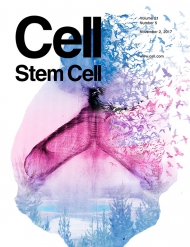 Cell - Stem Cell