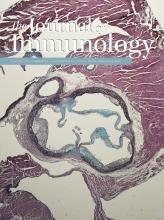 The Journal of Immunology 