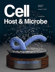 Cell - Host & Microbe