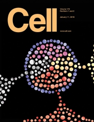 Cell 