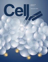 Cell  