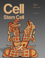 Cell - Stem Cell