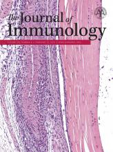 The Journal of Immunology