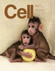 Cell  