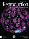 Reproduction 