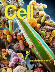 Cell  