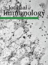 The Journal of Immunology