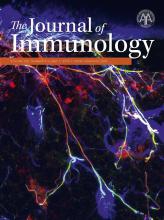 The Journal of Immunology 