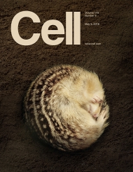 Cell   
