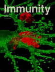 Cell - Immunity