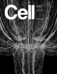 Cell   