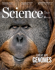Science       
