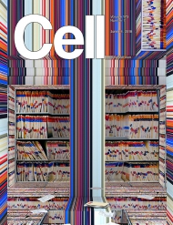 Cell   