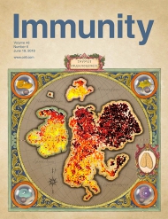 Cell - Immunity