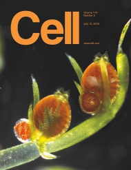 Cell    