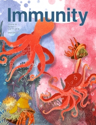 Cell - Immunity 