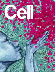 Cell    