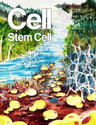 Cell - Stem Cell
