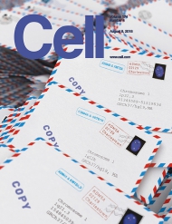 Cell    
