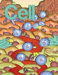 Cell    