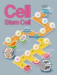 Cell - Stem Cell