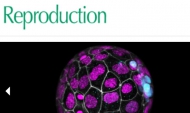 Reproduction