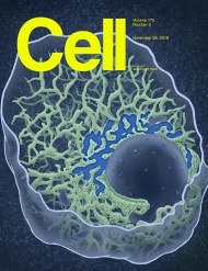 Cell