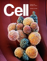Cell