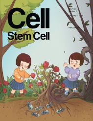 Cell - Stem Cell
