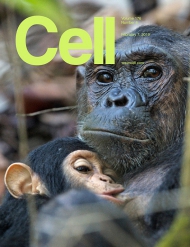 Cell