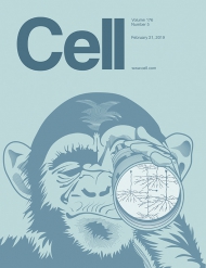 Cell