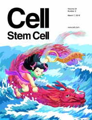 Cell - Stem Cell