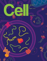 Cell