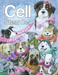 Cell - Stem Cell