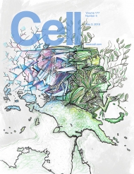 Cell