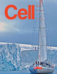 Cell 