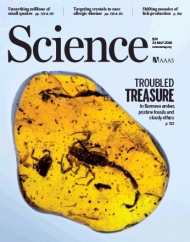 Science 