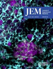 JEM