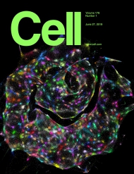 Cell