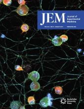 JEM