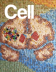 Cell 