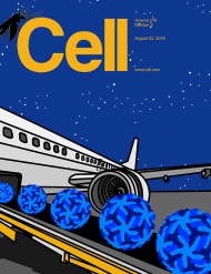 Cell 