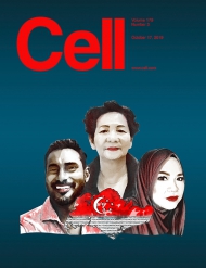 Cell